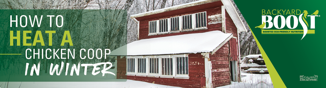 heat chicken coop in winter