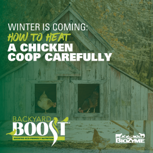 heat a chicken coop