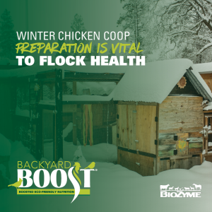 Winter Coop Care